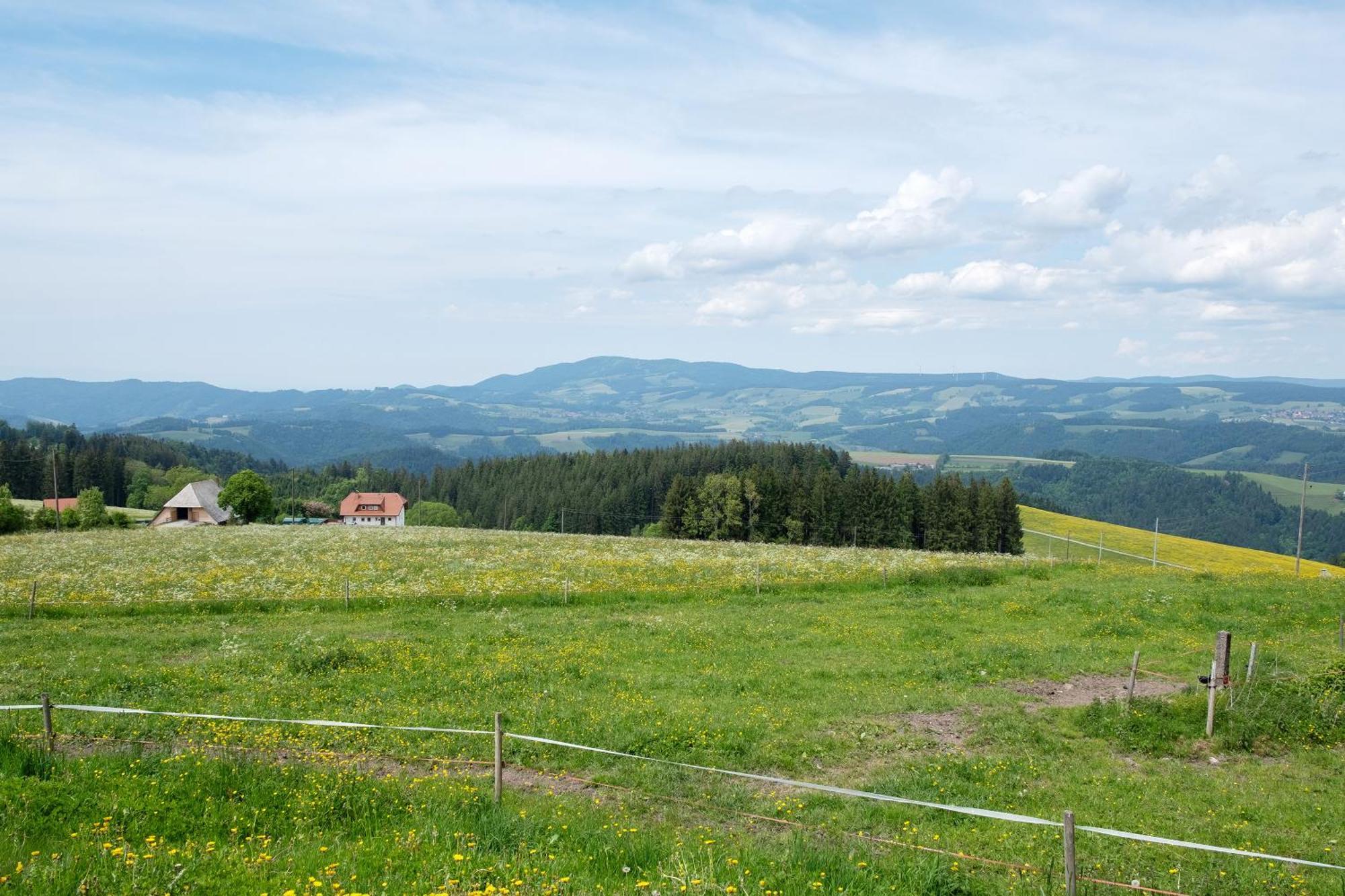 Baeuerleshuette Lägenhet Breitnau Exteriör bild